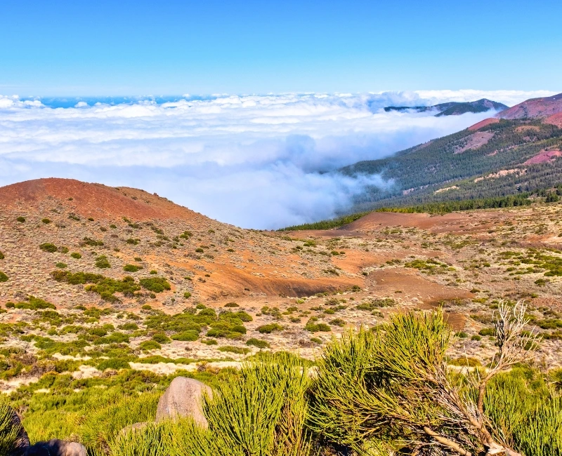 Discover Mount Teide