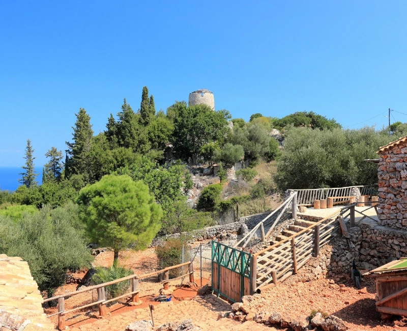 Explore Zante’s Nature & Wildlife