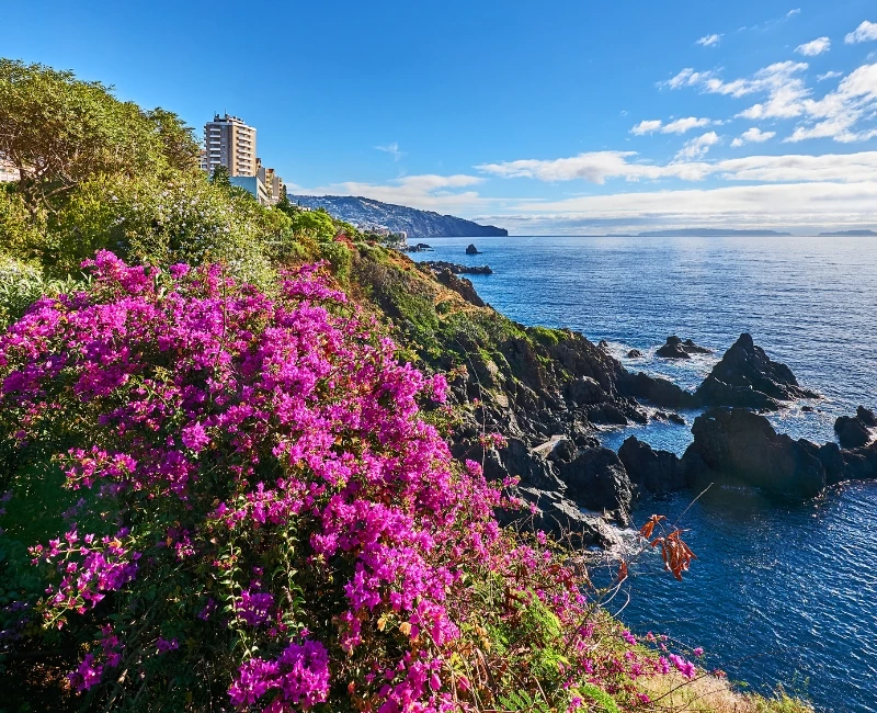 Exploring Madeira’s Natural Wonders