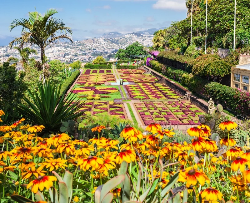 Madeira’s Festivals and Events