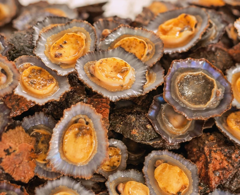 Gastronomy and Local Cuisine