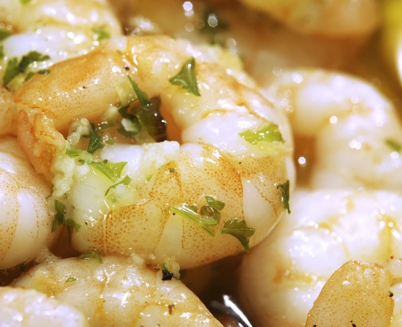 Savor Authentic Mediterranean Flavors