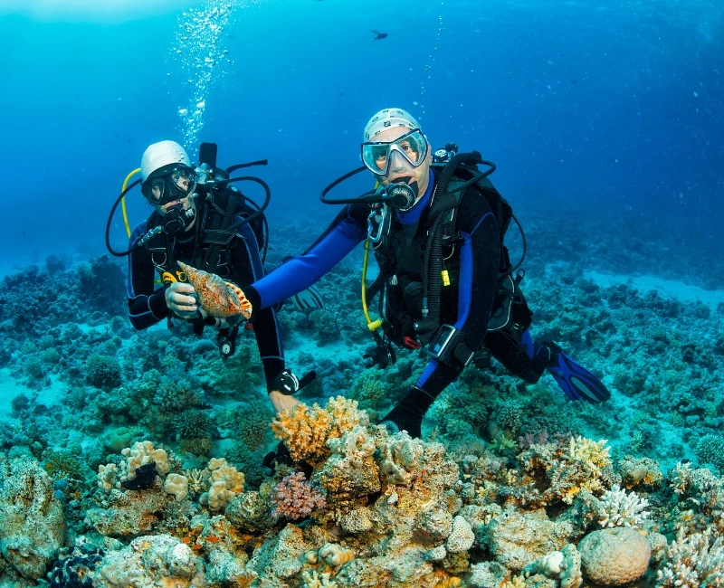 Embrace Adventure with Hiking, Cycling, and Watersports