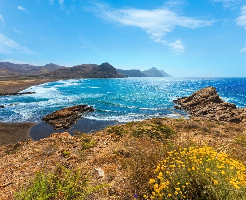 Family-Friendly Activities & Entertainment