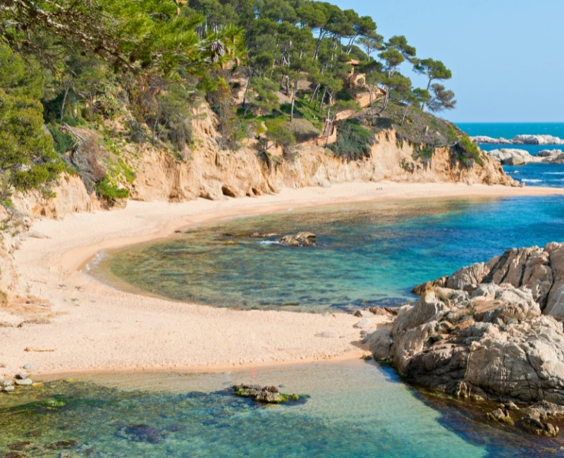 Wellness & Spa Retreats