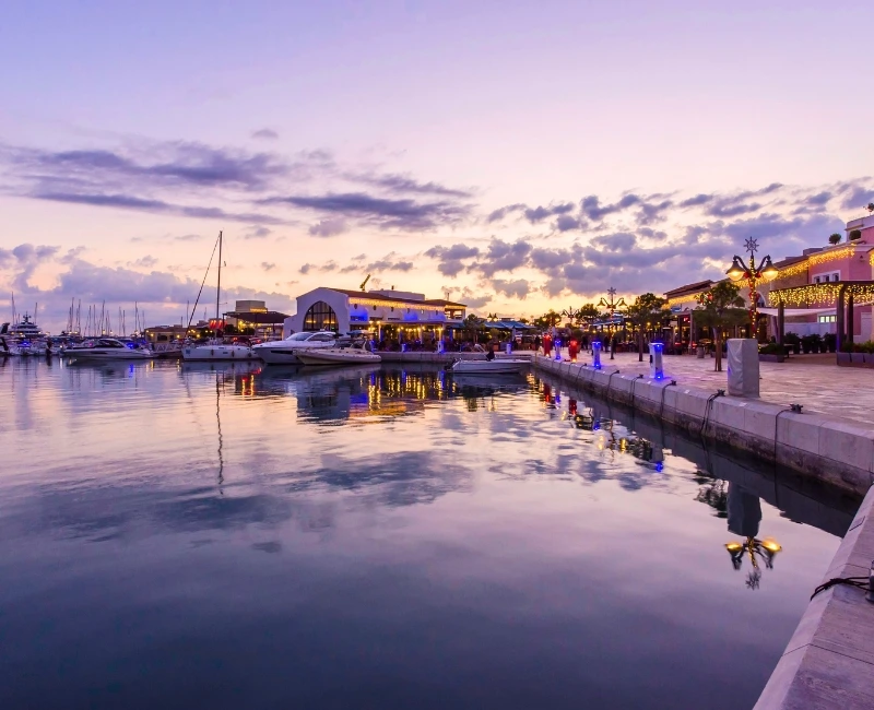 Nightlife & Entertainment