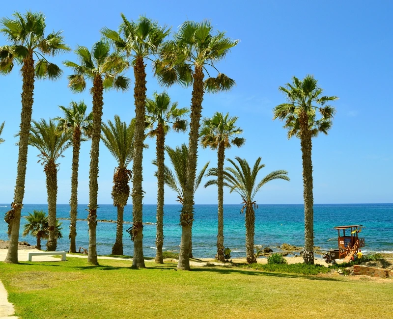 Relaxing on Paphos’ Beautiful Beaches