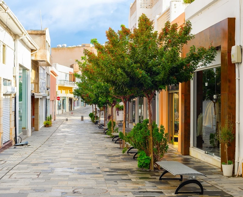 Shopping & Local Markets