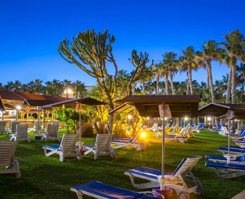 Dining, Nightlife & Local Experiences