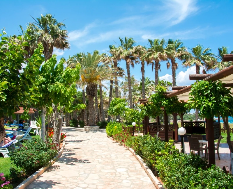 Relaxation & Wellness