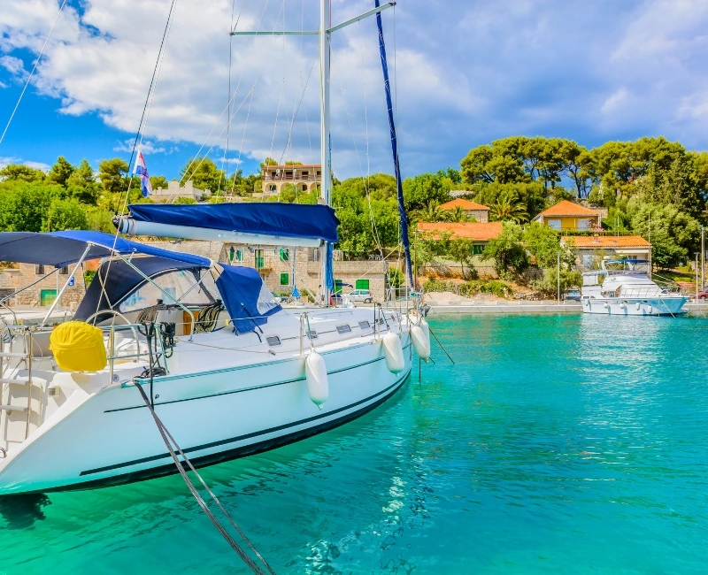 Paddleboarding and Boat Tours for Families