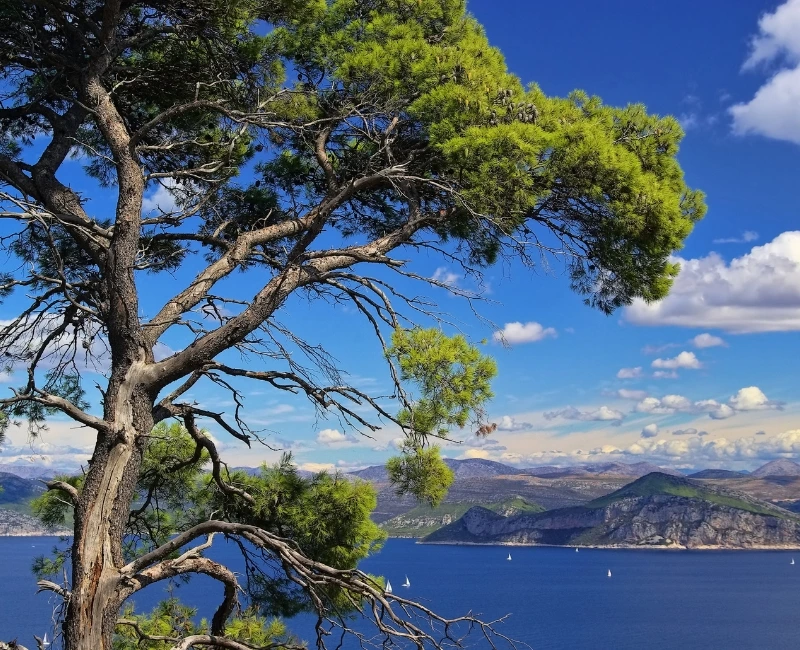 Island Hopping to the Elaphiti Islands