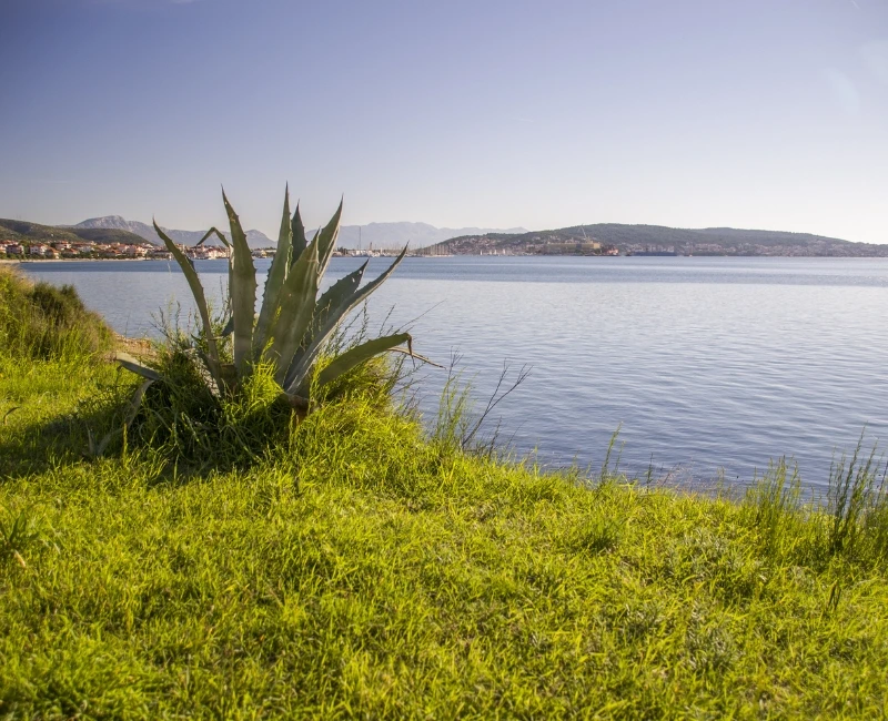 Medena & Vranjica Beaches