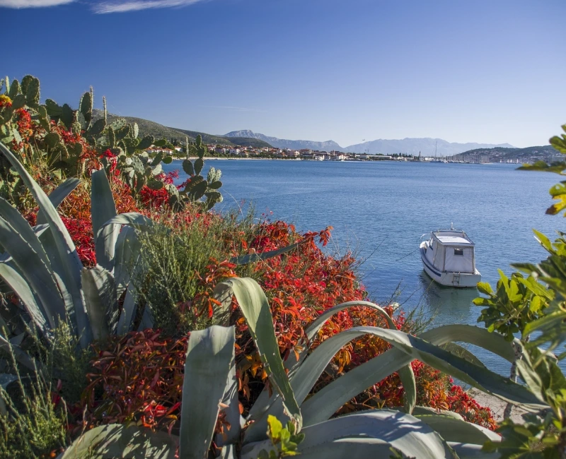 Hidden Coves & Island Excursions