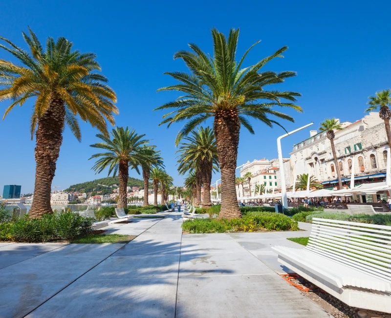 Island Excursions and Outdoor Adventures