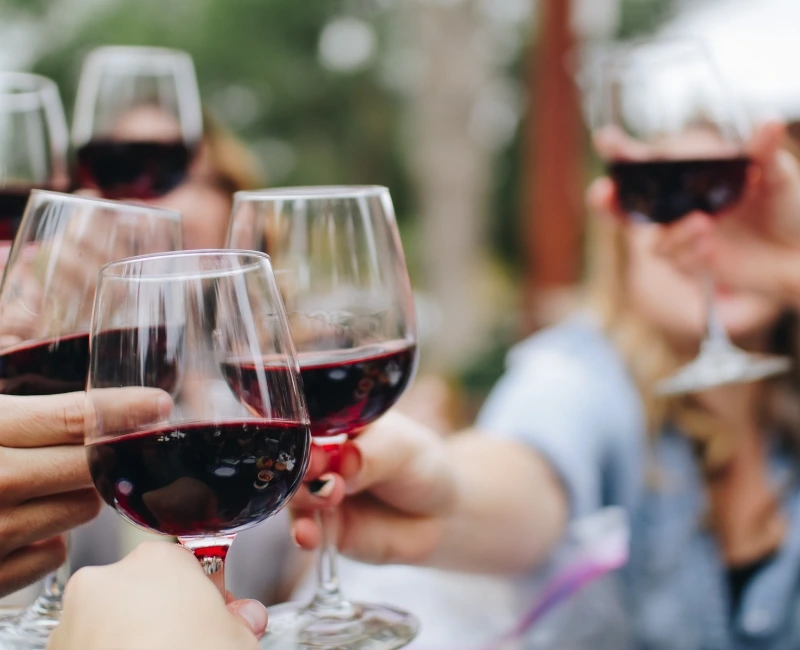 Pelješac Wine Tasting Tours