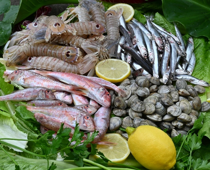 Dalmatian Seafood & Local Cuisine Experiences