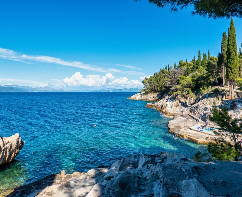 Wellness and Relaxation