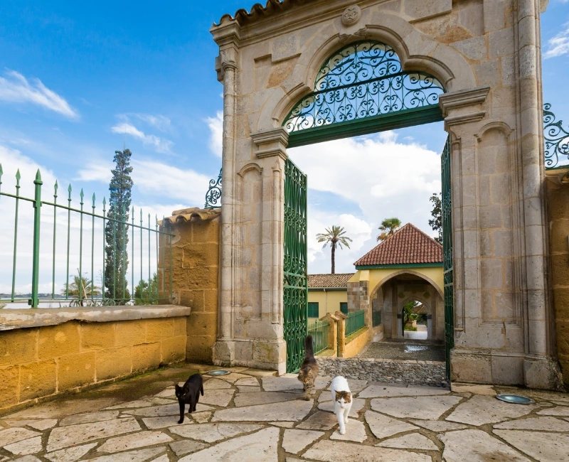 Wellness Retreats & Coastal Serenity