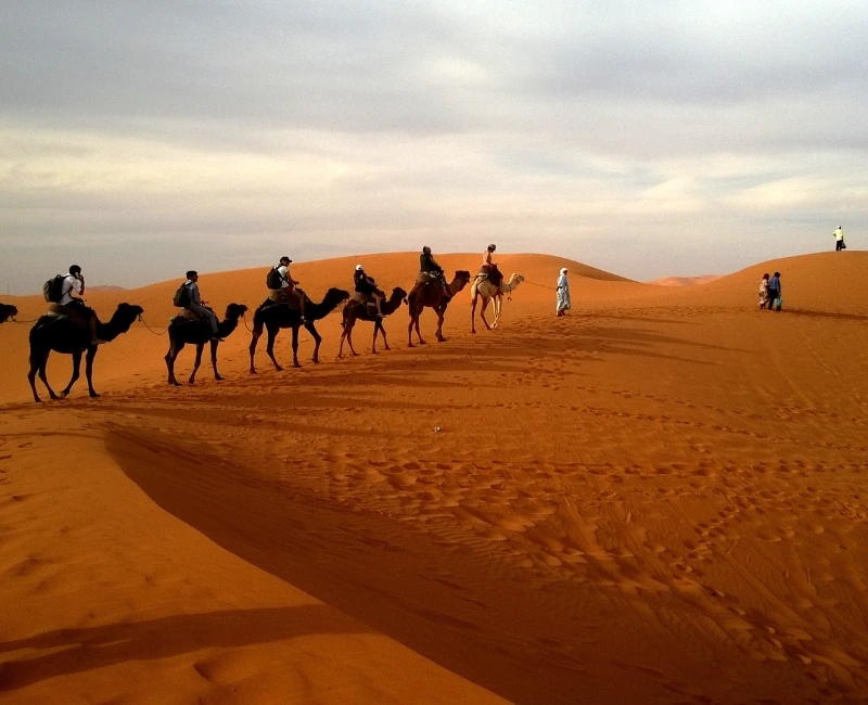 Bedouin Desert Safaris