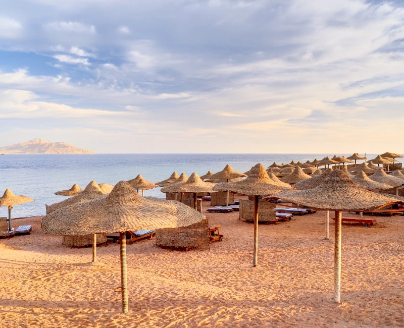 Evening Entertainment & Beach Bars