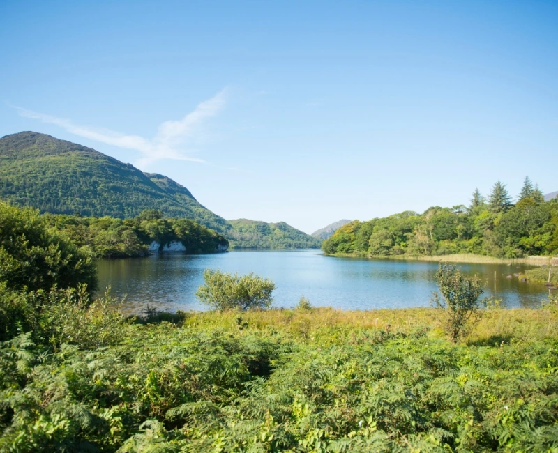 Lakes of Killarney Exploration