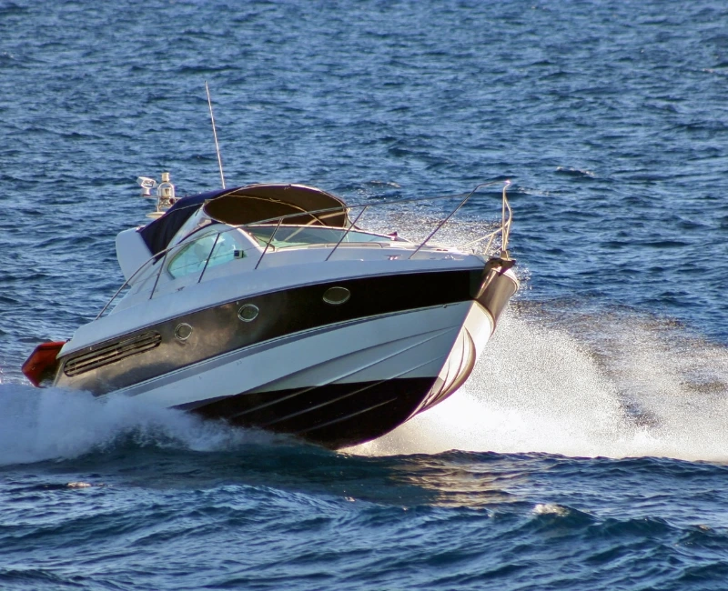 Boat Trips and Water Activities