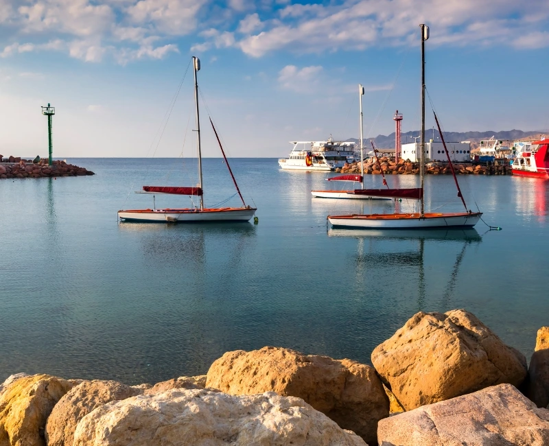 Red Sea Snorkeling and Diving