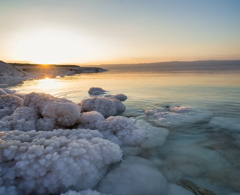 Spa Retreats and Wellness Resorts