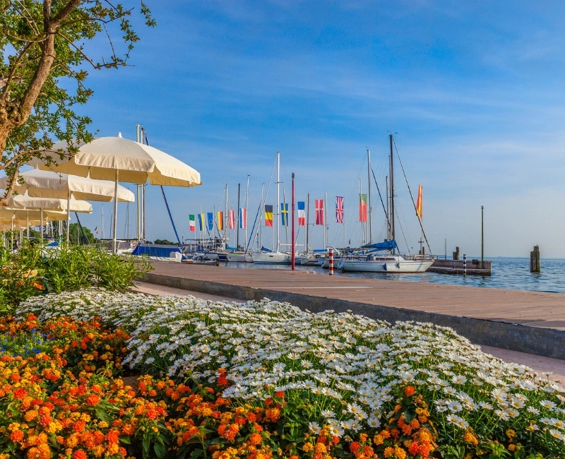 Swimming, Beach Life, and Lakeside Retreats