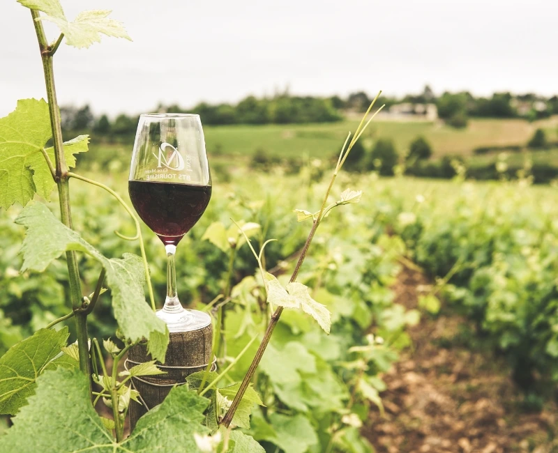 Countryside Exploration & Wine Tours