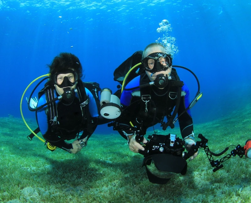 Water Sports and Diving