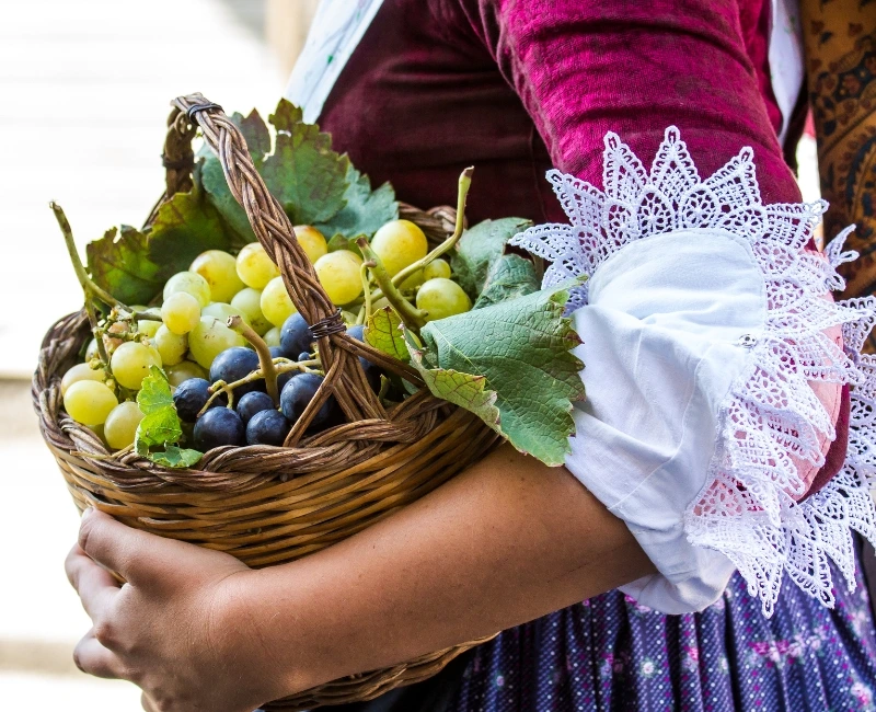 Agritourism Experiences