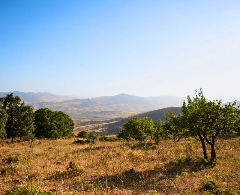 Adventure & Outdoor Activities