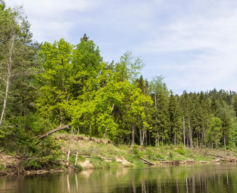 Day Trips to Gauja National Park