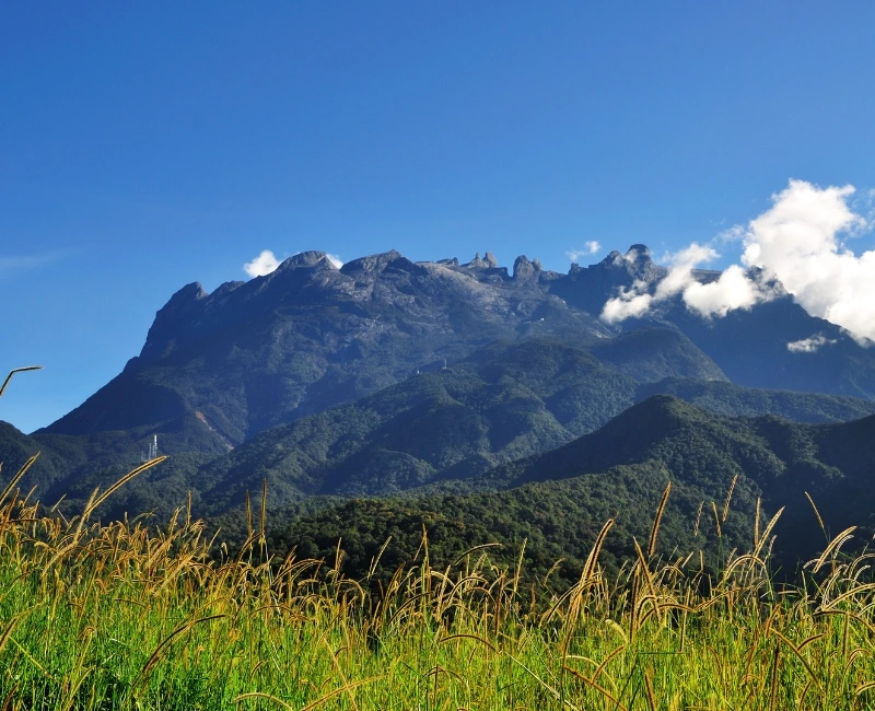 Mount Kinabalu Ascent and Base Camp Experiences