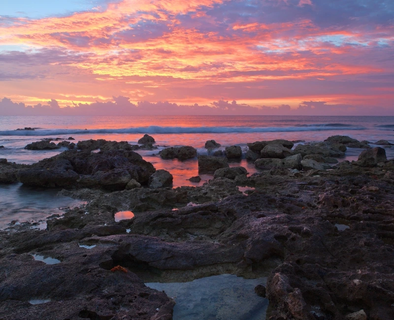 Eco-Tours and Conservation Projects