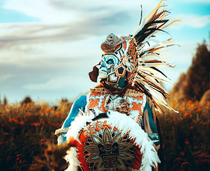 Indigenous Heritage and Cultural Encounters