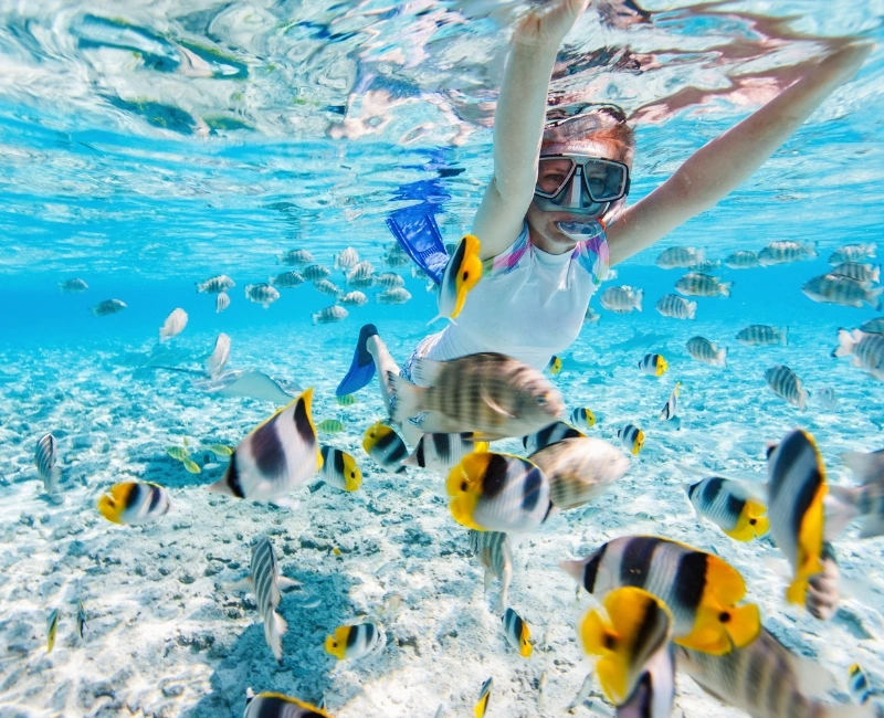 Snorkelling Hotspots