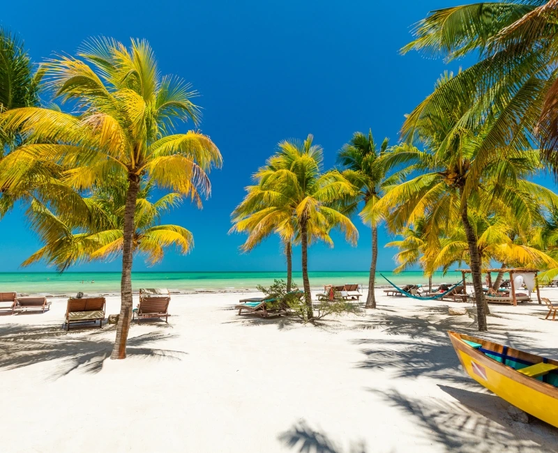 Beaches & Wildlife Encounters