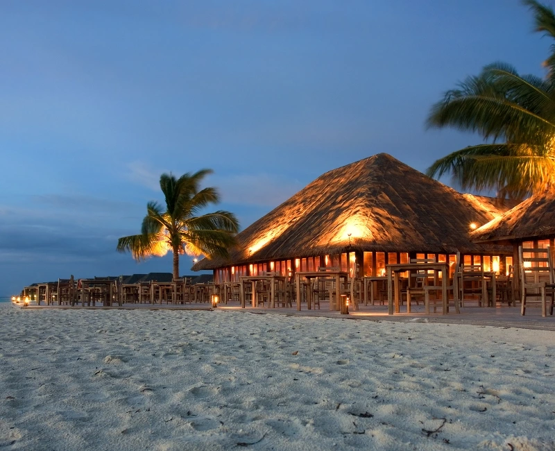 Nightlife & Local Entertainment