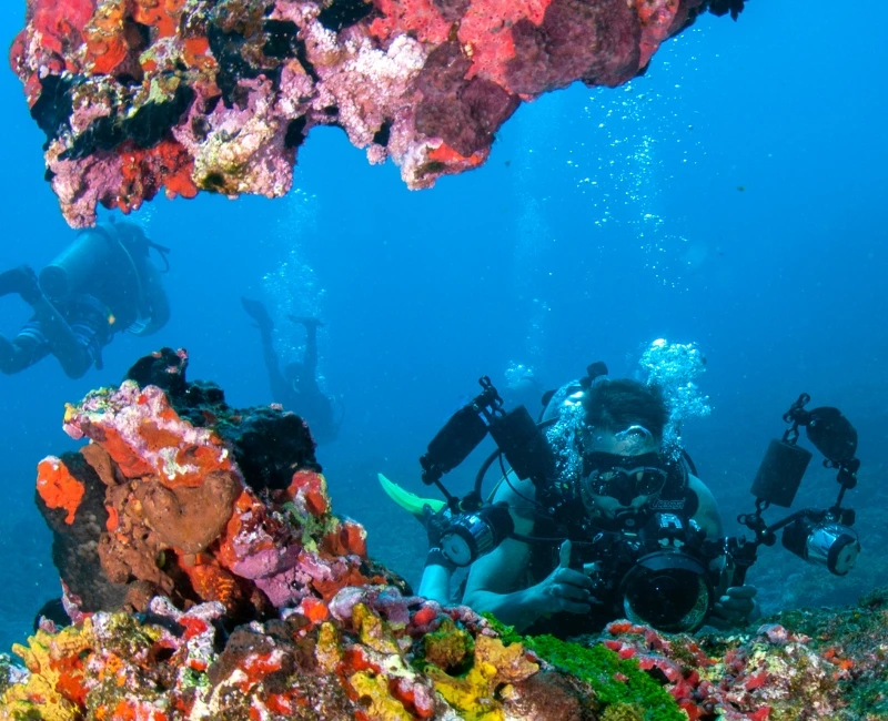 Snorkelling & Diving the Mesoamerican Reef