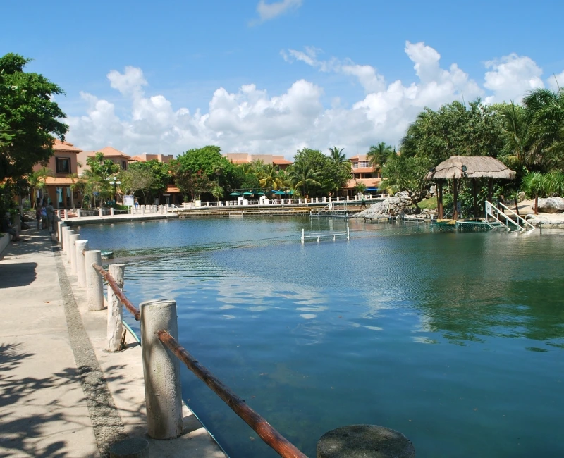 Local Cuisine and Culinary Experiences