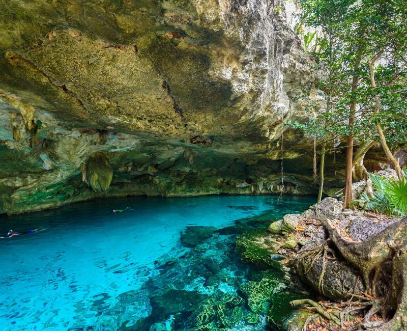 Swimming in Cenotes & Underground Rivers