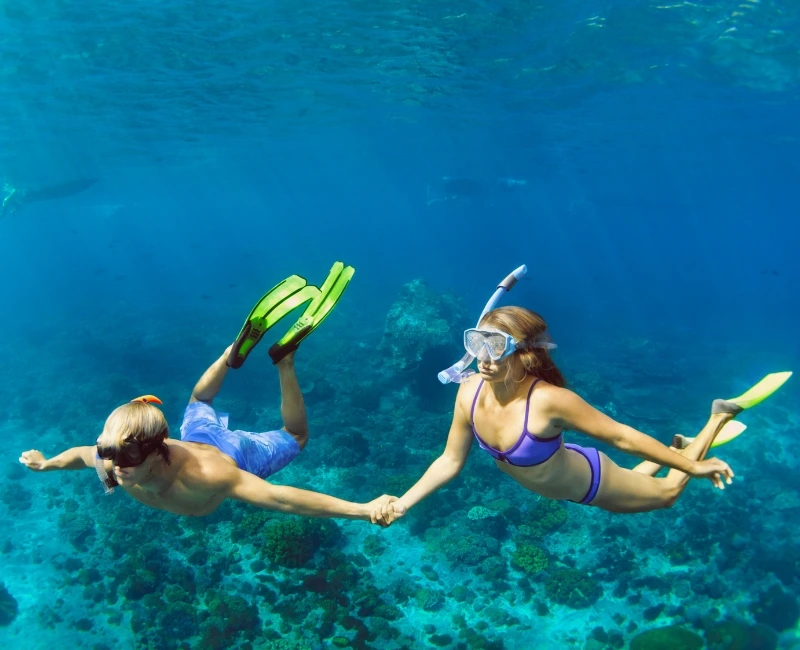 Snorkeling & Diving in the Caribbean Sea