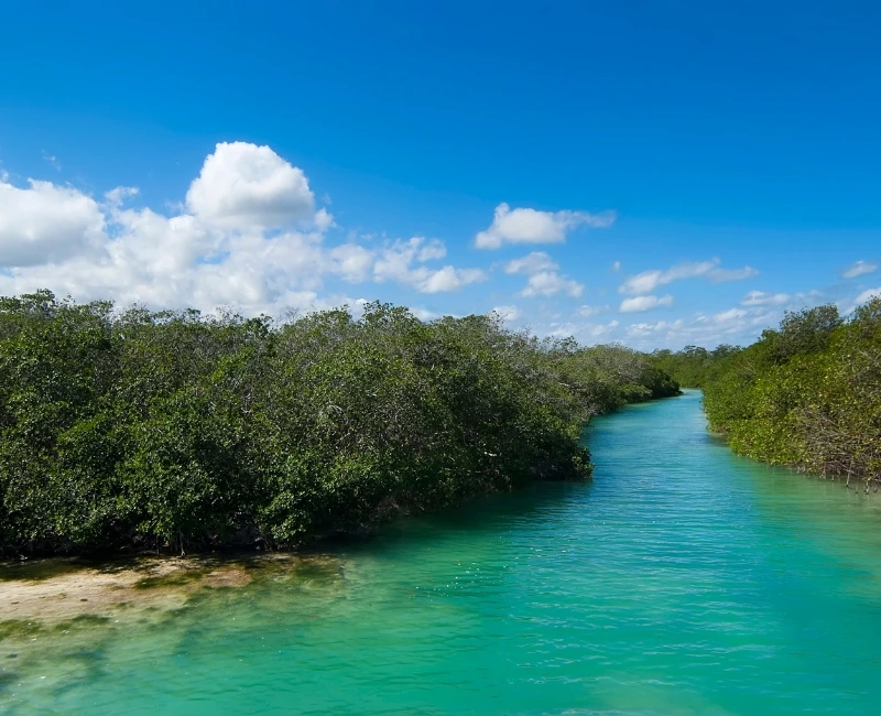 Biosphere Reserves and Wildlife Encounters