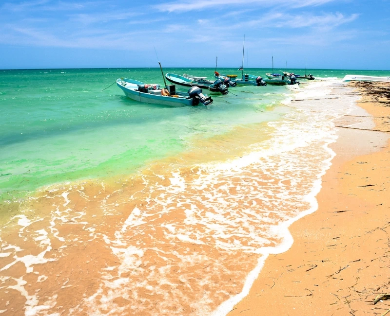 Serene Gulf Shores and Hidden Beaches