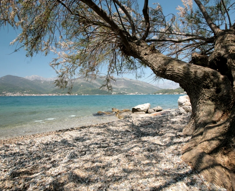 Exploring Tivat’s Beaches