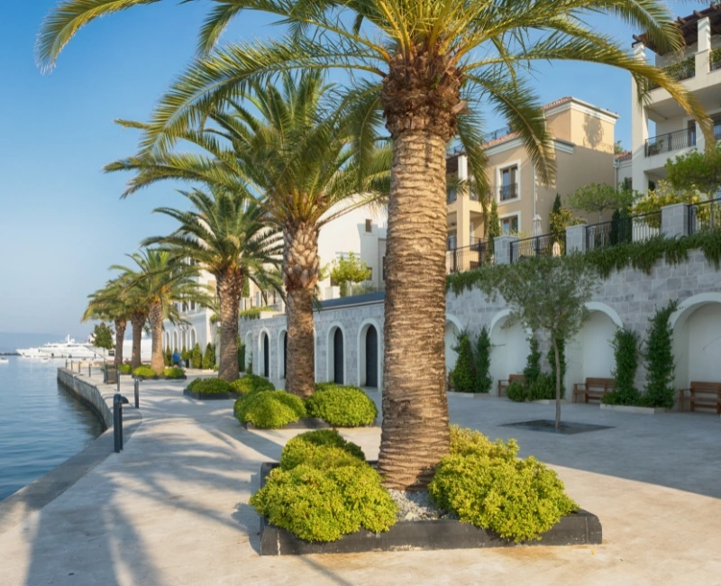 Island and Bay Excursions