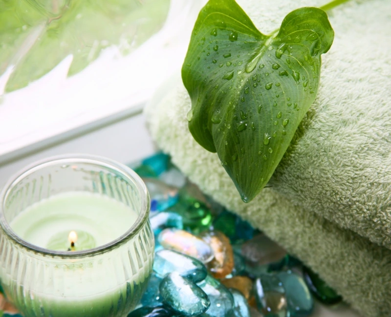 Spa and Wellness Retreats